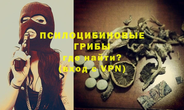 трава Армянск