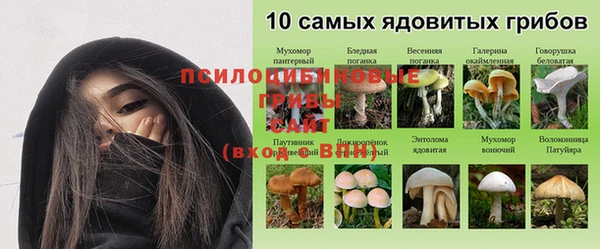 трава Армянск