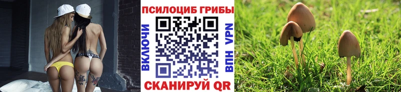 Галлюциногенные грибы мухоморы  MEGA ТОР  Мензелинск  где можно купить наркотик 